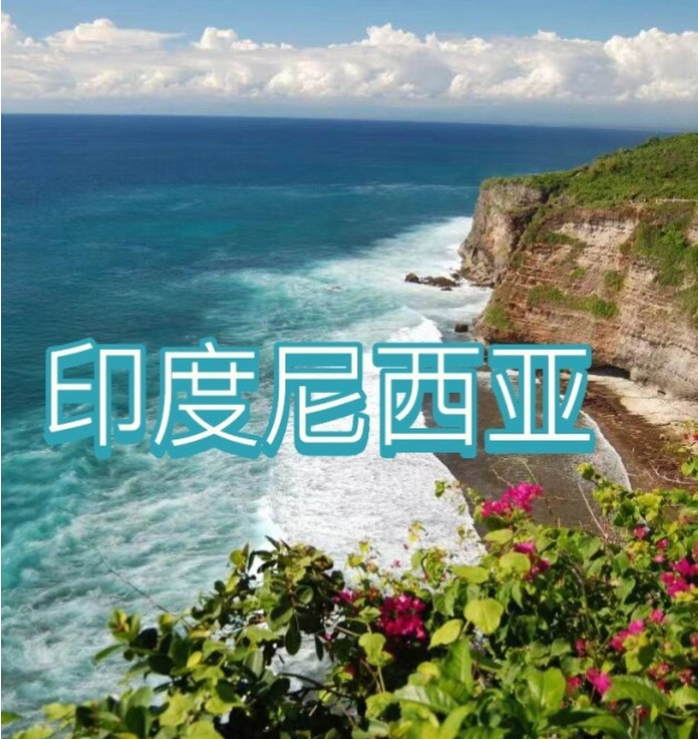 中国国际电商(印尼)产业博览会pg电子试玩网站免费2025(图2) 中国国际电商(印尼)产业博览会pg电子试玩网站免费2025(图2)